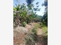 Terreno en venta en Monte Salas, Fortín, Veracruz de Ignacio de la Llave Terreno en venta en Monte Salas, Fortín, Veracruz de Ignacio de la Llave