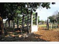 Finca-Rancho en venta en El Zacatal, Jamapa, Veracruz de Ignacio de la Llave 135 hectáreas