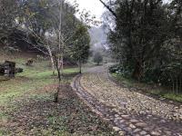 Terreno en venta en Francisco Javier Mina, Coatepec, Veracruz de Ignacio de la Llave