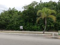 Terreno en venta en Los Arrecifes, Solidaridad, Quintana Roo Terreno en venta en Los Arrecifes, Solidaridad, Quintana Roo