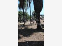 Terreno en renta en Cuernavaca Centro, Cuernavaca, Morelos