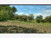 Terreno en venta en Alpuyeca, Xochitepec, Morelos