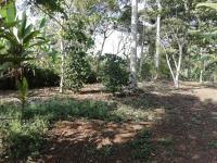 Terreno en venta en San Camilo, Fortín, Veracruz de Ignacio de la Llave Terreno en venta en San Camilo, Fortín, Veracruz de Ignacio de la Llave