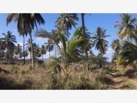 Terreno en venta en Cerro de Ortega, Tecomán, Colima