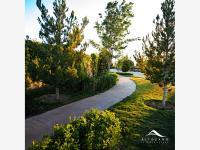 Terreno en venta en Altozano la Nueva Laguna, Gómez Palacio, Durango