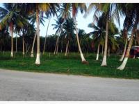 Terreno en venta en Carlos Rovirosa 2da. Sección, Centla, Tabasco