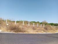 Terreno en venta en Nogueras, Comala, Colima Terreno en venta en Nogueras, Comala, Colima