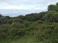 Terreno en venta en Cuauhtemoc, Cuauhtémoc, Colima Terreno en venta en Cuauhtemoc, Cuauhtémoc, Colima