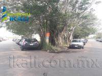 Terreno en renta en Franco Cruz Hernández, Tuxpan, Veracruz de Ignacio de la Llave