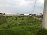 Terreno en venta en San Miguel Zacango, Toluca, México Terreno en venta en San Miguel Zacango, Toluca, México