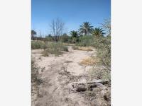 Terreno en venta en Quintas los Nogales, Torreón, Coahuila de Zaragoza Terreno en venta en Quintas los Nogales, Torreón, Coahuila de Zaragoza