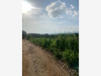 Terreno en venta en Punta de Zicatela, Santa María Colotepec, Oaxaca