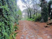 Terreno en venta en El Pirame, Ocoyoacac, México