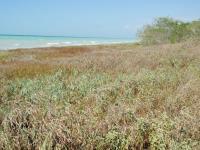 Terreno en venta en Champoton Centro, Champotón, Campeche