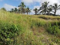 Terreno en venta en Cristobal Colon, Champotón, Campeche