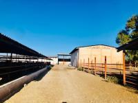 Finca-Rancho en venta en Pastor Rouaix, Gómez Palacio, Durango