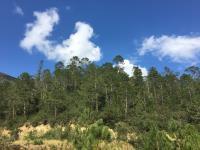 Terreno en venta en Los Lirios, Arteaga, Coahuila de Zaragoza