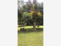 Coatepec Veracruz Bellisimo terreno, Ideal para desarrolladores.