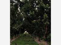 Finca-Rancho en venta en San Jorge, Jiménez, Chihuahua