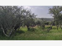 Terreno en venta en Balvanera Polo y Country Club, Corregidora, Querétaro