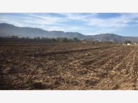 Terreno en venta en Alvaro Obregon, Lerdo, Durango