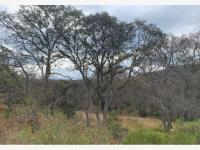 Terreno en venta en Santa Ana Jilotzingo, Jilotzingo, México