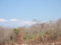 Terreno en venta en Champoton Centro, Champotón, Campeche