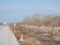 Terreno en venta en Champoton Centro, Champotón, Campeche