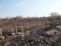 Terreno en venta en Champoton Centro, Champotón, Campeche