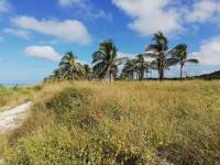 Terreno en venta en Champoton Centro, Champotón, Campeche