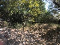 Terreno en venta en Vista Hermosa, Cuernavaca, Morelos