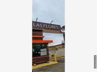 TERRENO EN VENTA (Fracc. Villa de las Flores)