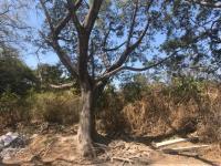 Terreno en venta en Lomas de Vista Hermosa, Cuernavaca, Morelos
