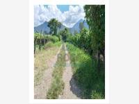 Terreno en venta en Rincon Grande, Orizaba, Veracruz de Ignacio de la Llave