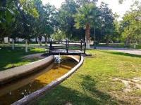 Terreno en venta en San Armando, Torreón, Coahuila de Zaragoza Terreno en venta en San Armando, Torreón, Coahuila de Zaragoza