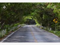 Terreno Residencial en Venta en San Crisanto, Yucatán