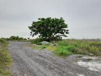 Terreno en venta en Mandinga y Cardón, Alvarado, Veracruz de Ignacio de la Llave