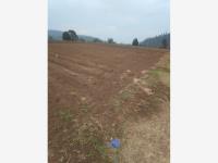 Terreno en venta en San Pedro, Almoloya de Juárez, México