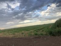 Terreno en venta en Ejido San Miguel, Matamoros, Coahuila de Zaragoza