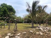 Terreno en venta en La Aguada, Alvarado, Veracruz de Ignacio de la Llave