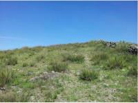 Terreno en venta en Raul Lozano, Santiago Tulantepec de Lugo Guerrero, Hidalgo