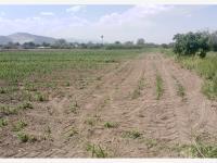 Terreno en venta en Carlos Real (San Carlos), Lerdo, Durango Terreno en venta en Carlos Real (San Carlos), Lerdo, Durango