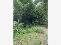 Terreno en venta en La Aguada, Alvarado, Veracruz de Ignacio de la Llave