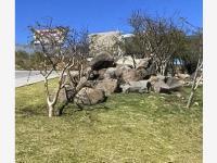 Terreno en venta en Zanda, León, Guanajuato