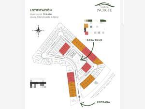Terreno en venta en Quintas del Palmar, Torreón, Coahuila de Zaragoza