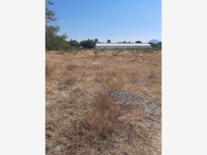 Terreno en venta en Temoac, Temoac, Morelos Terreno en venta en Temoac, Temoac, Morelos