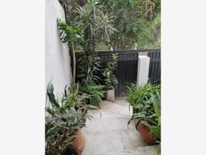 Casa en venta de amplios espacios en Romero de Terreros, Coyoacán