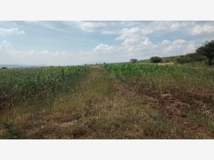TERRENO EN VENTA EN NAVAJAS EL MARQUES