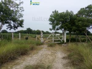 Terreno en venta en Tamiahua, Tamiahua, Veracruz de Ignacio de la Llave