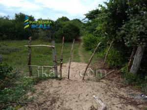 Terreno en venta en Palo Blanco, Tamiahua, Veracruz de Ignacio de la Llave